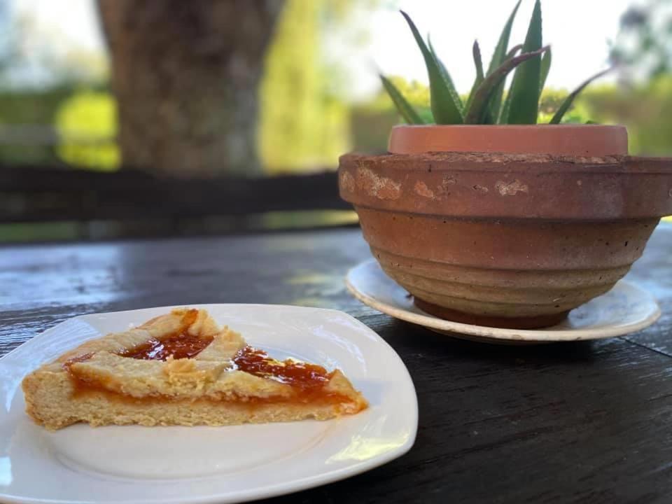 Il Melarancio Acomodação com café da manhã Pescia Romana Exterior foto