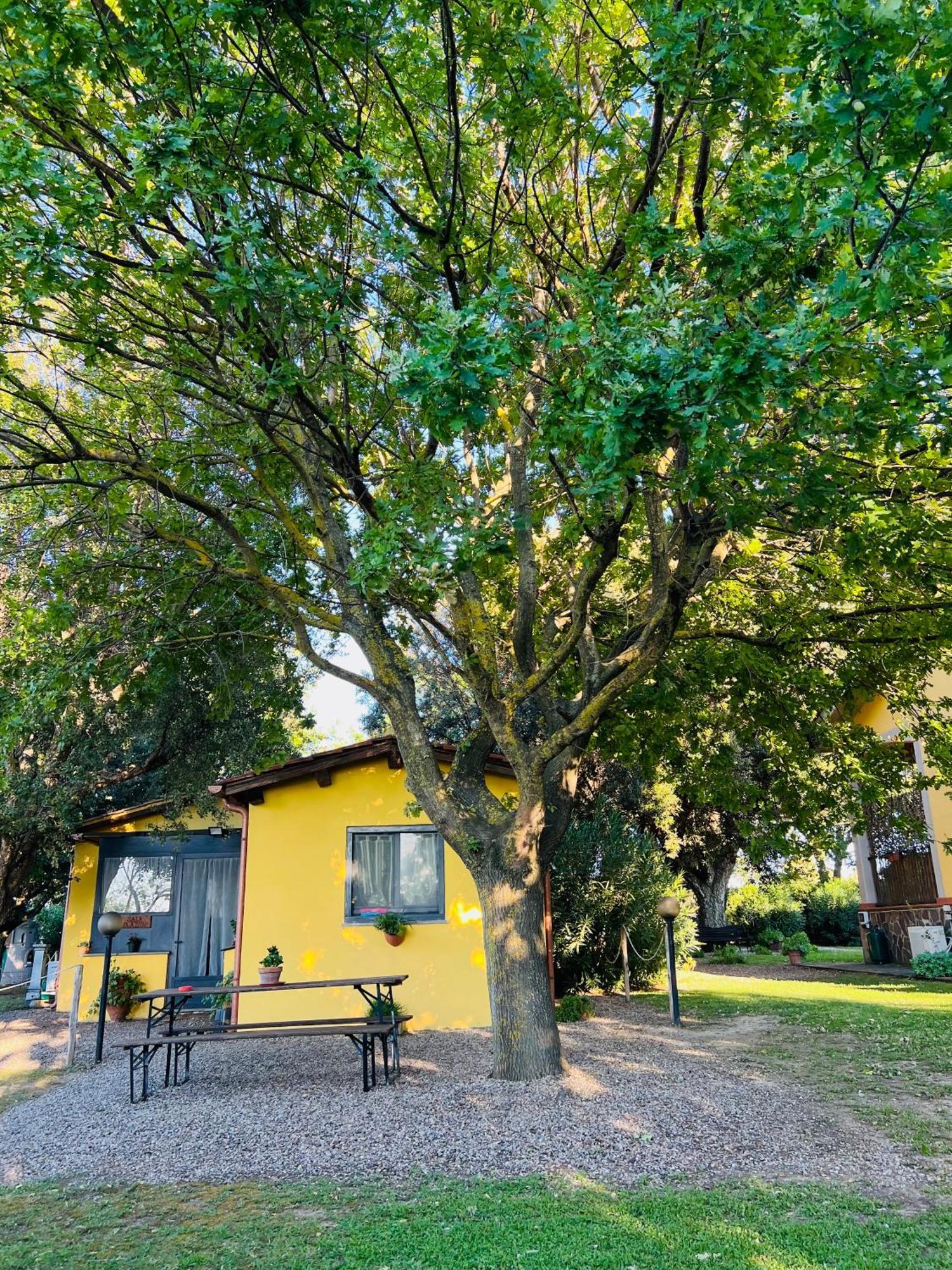 Il Melarancio Acomodação com café da manhã Pescia Romana Exterior foto