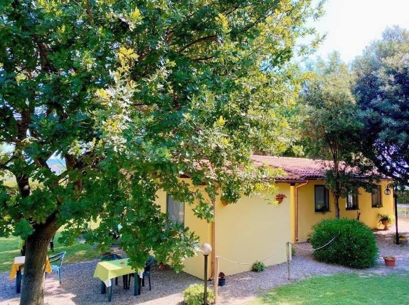 Il Melarancio Acomodação com café da manhã Pescia Romana Exterior foto